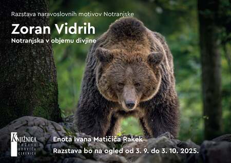 Zoran Rakek (003)