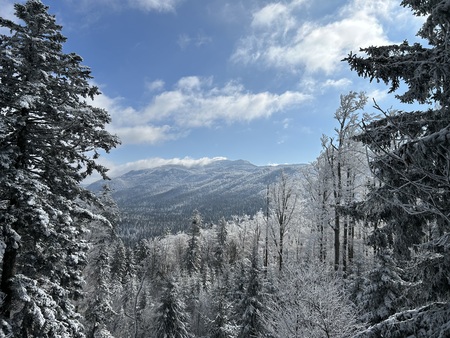 Snežniška pobočja