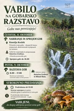 Gobarska razstava