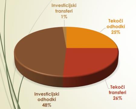 Struktura prihodkov v proračunu 2024.jpg