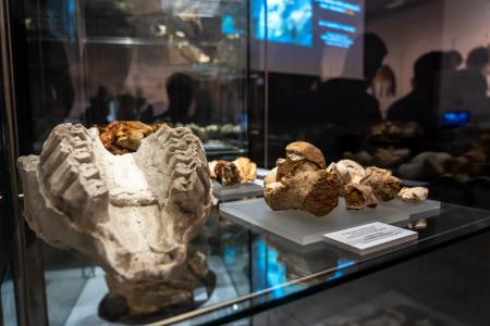 Muzejska-noc_Notr-Muzej_BeGR8__7IV0067_manjse