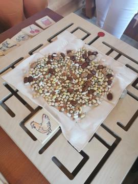 353186904_784529663177947_6957058019742988100_n