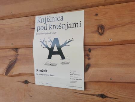 353414105_783016879889646_1480119571553355351_n