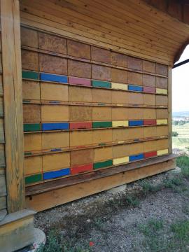 353425843_1287709065506894_8019894068518122588_n