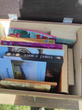 380178965_1651935905315733_2828131844548319361_n