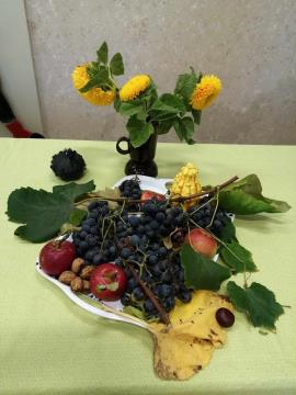 383038125_3806109863012575_7331833933916835180_n