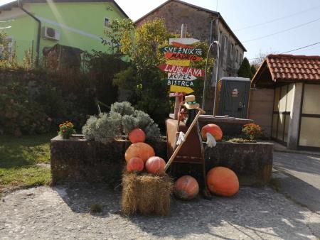 384496014_1476705076430276_5529645091343158647_n