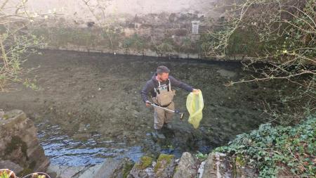 IMG-dbed060da7e657983d3e4e201bbf3a28-V