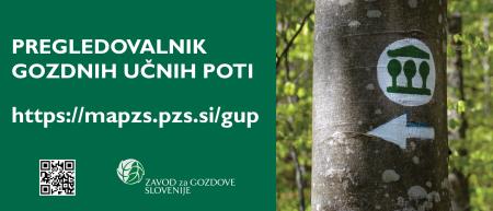 Pregledovalnik_GUP_maPZS