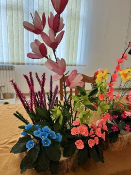 IMG_1086