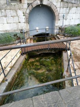 DSC06415IMG20240423152959