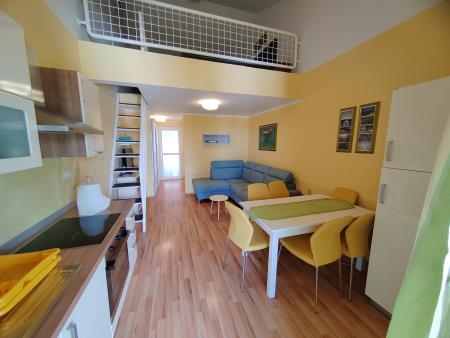 IMG_20240520_154242[1]