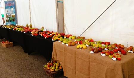 IMG-affb3d14aa3532d1bec136314220ab24-V