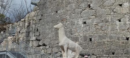 20-20250325_135338-LBN