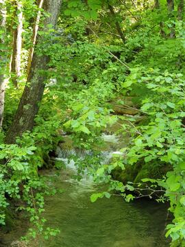 03-20250514_094753-IB