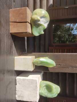 IMG-20250818-WA0034
