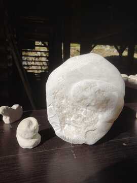 IMG-20250818-WA0047
