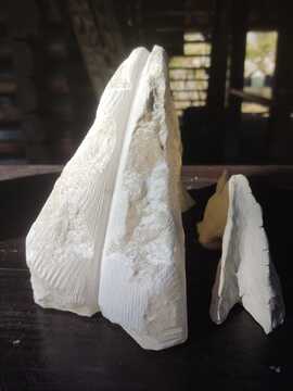 IMG-20250818-WA0049