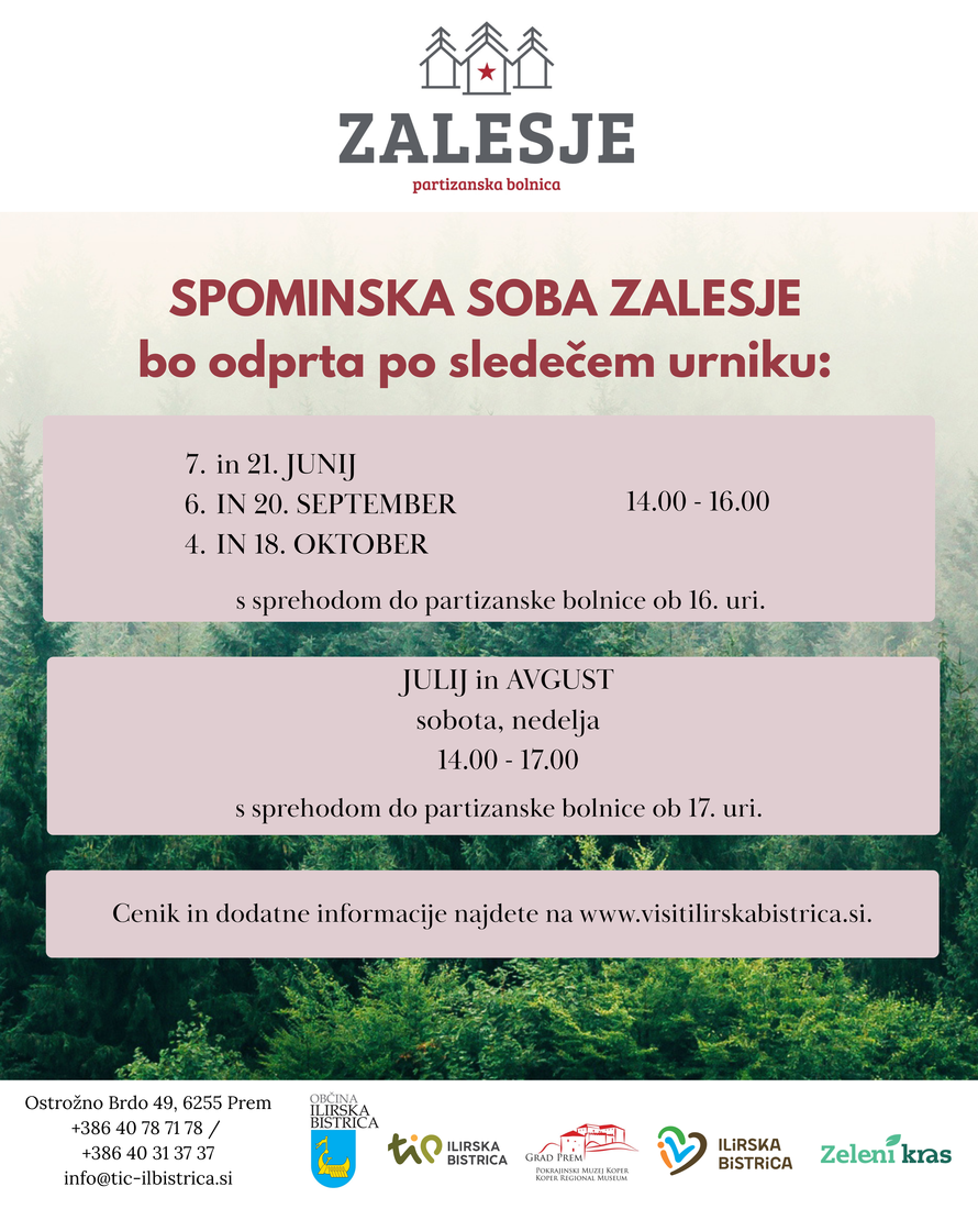 Zalesje