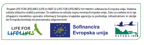 LIFEforLIFELINES_logo